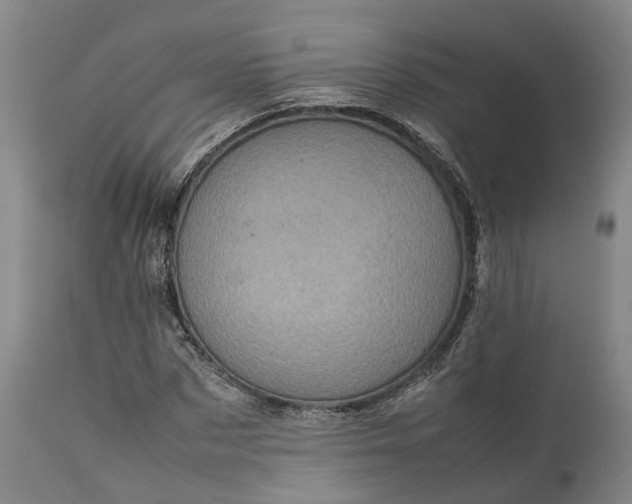 X0000111630873200907311224