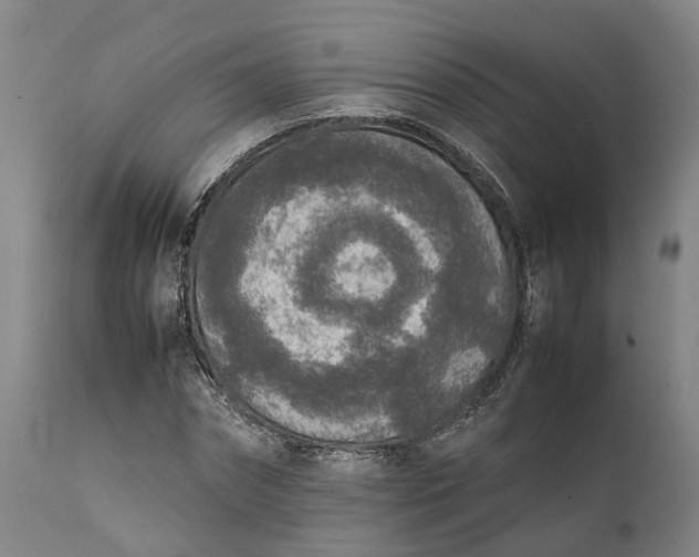 X0000111630874200907311224