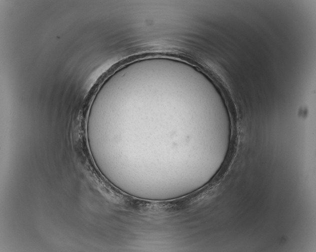 X0000111630875200907311224