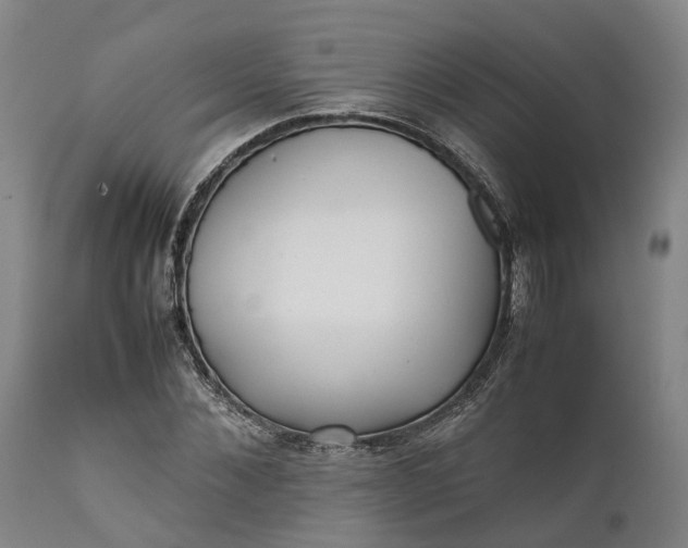 X0000111630876200907311224