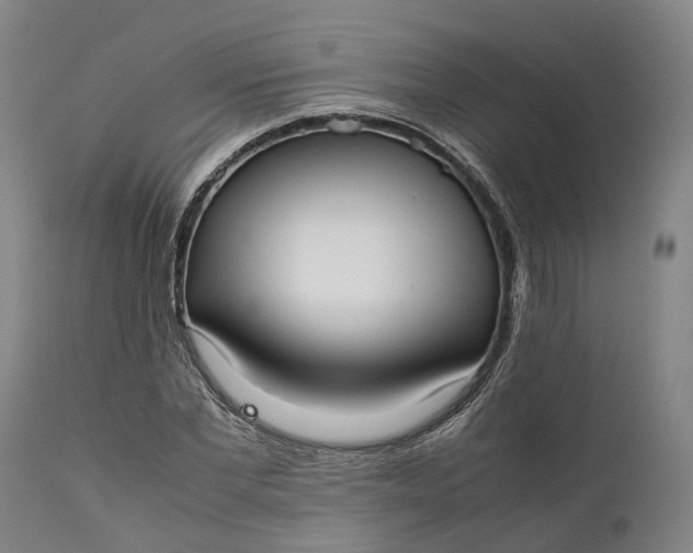 X0000111630877200907311224