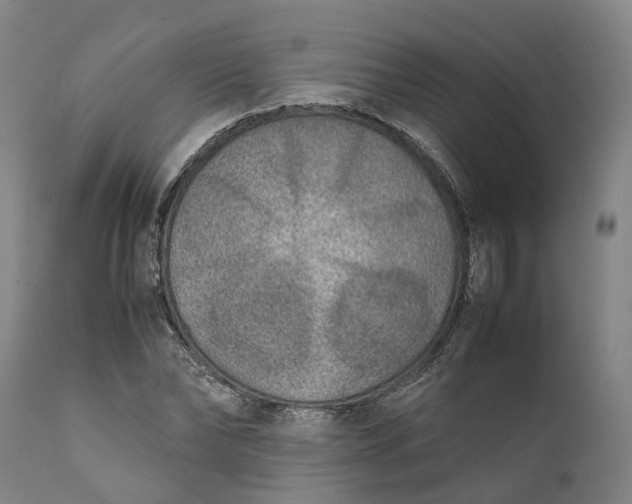 X0000111630878200907311224