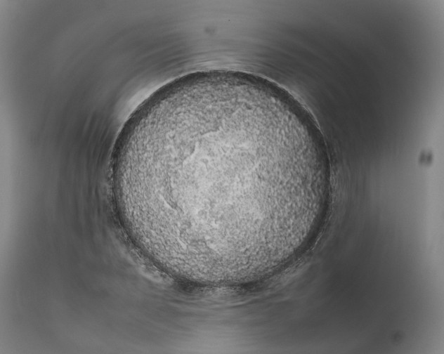 X0000111630879200907311224