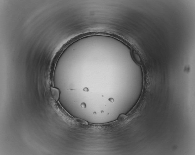 X0000111630880200907311224