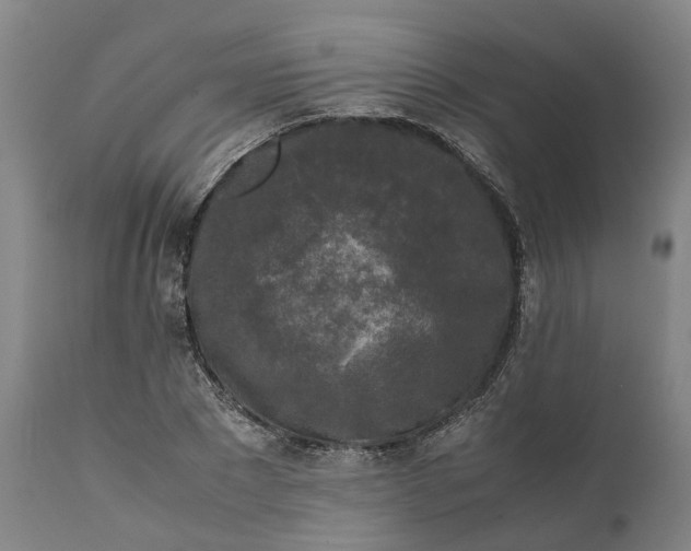 X0000111630881200907311224