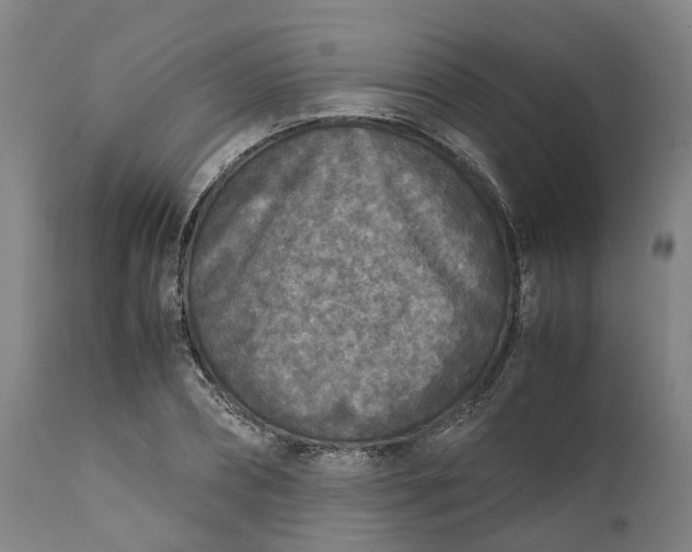 X0000111630882200907311224