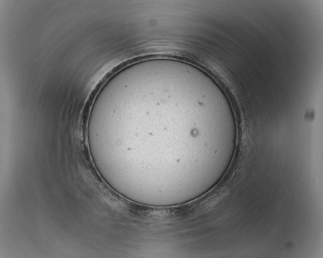 X0000111630883200907311224