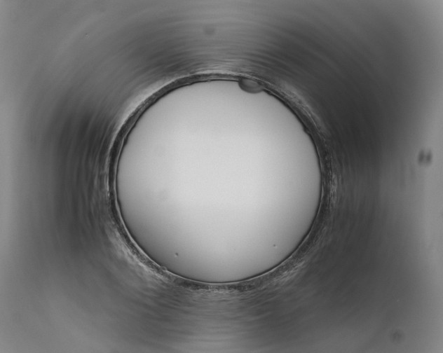 X0000111630884200907311224