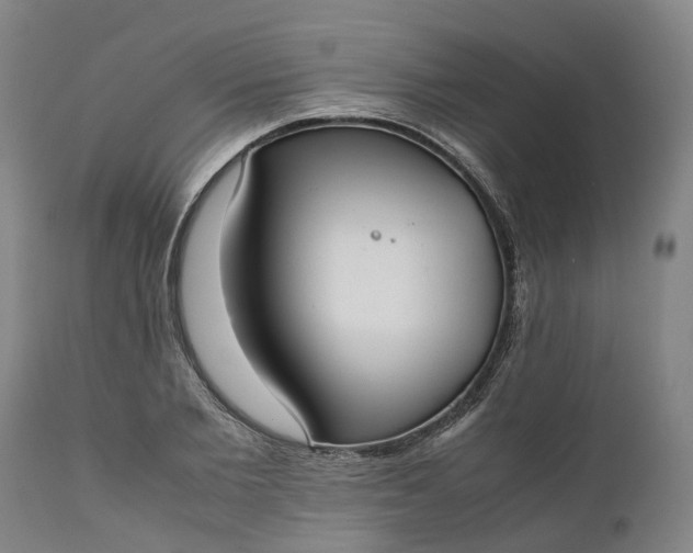 X0000111630885200907311224