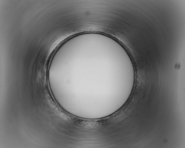 X0000111630886200907311224