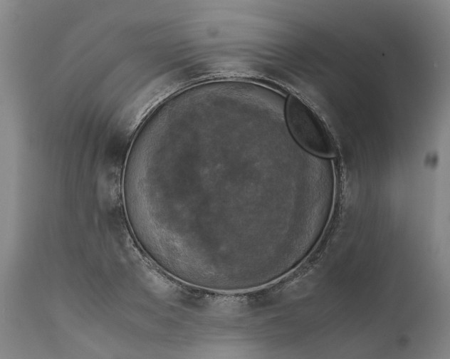 X0000111630889200907311224