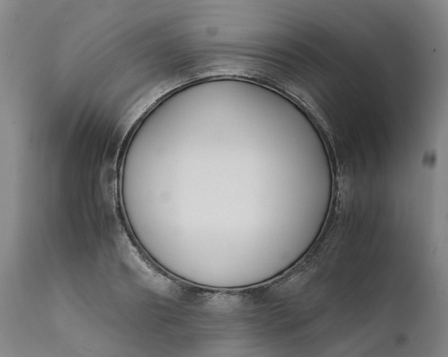 X0000111630890200907311224