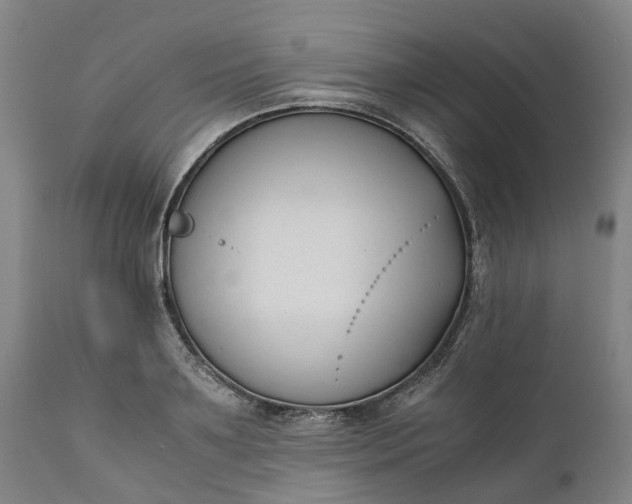 X0000111630891200907311224