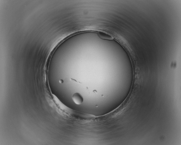 X0000111630892200907311224