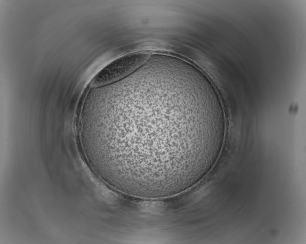 X0000111630893200907311224