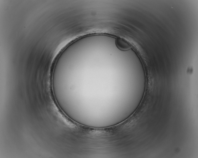 X0000111630894200907311224