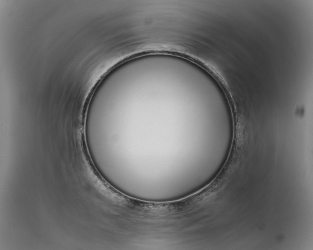 X0000111630895200907311224