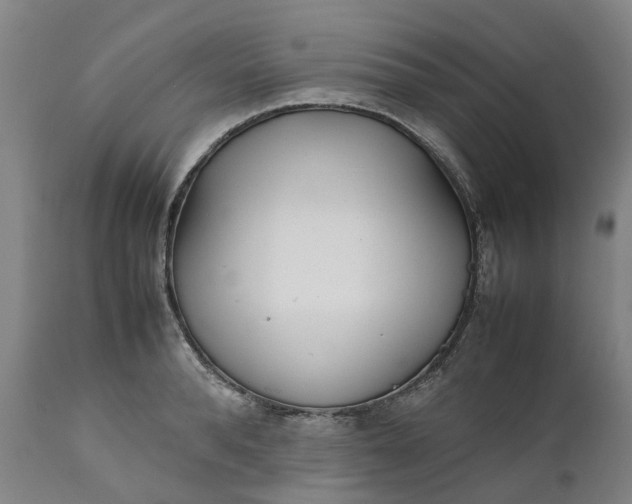 X0000111630896200907311224