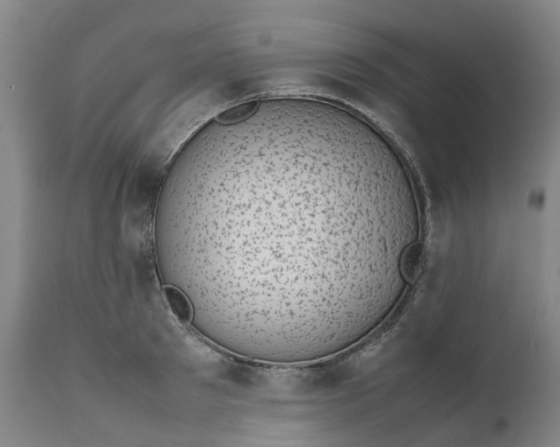 X0000111630897200907311224