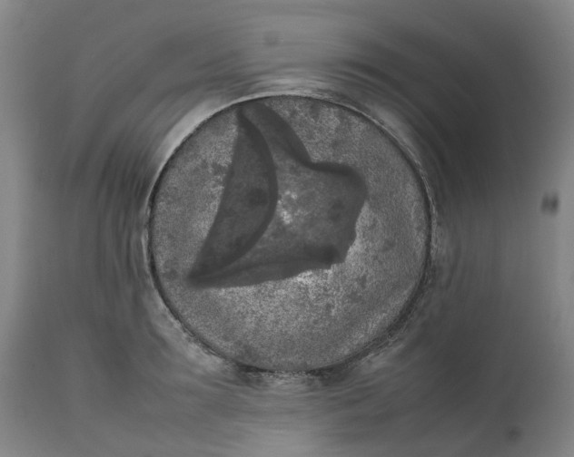 X0000111630899200907311224