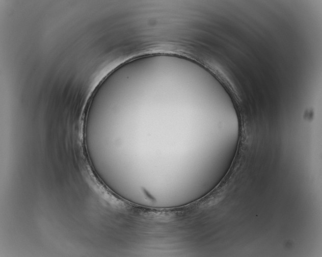 X0000111630900200907311224