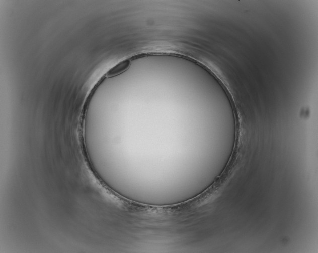 X0000111630901200907311224