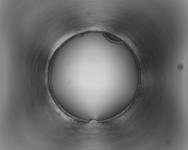 X0000111630902200907311224