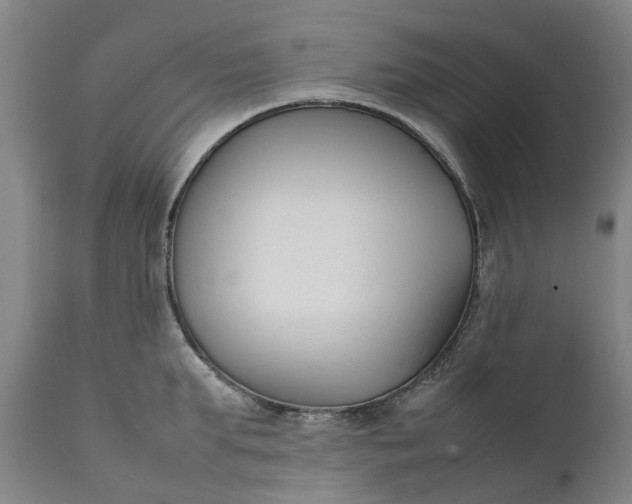 X0000111630903200907311224