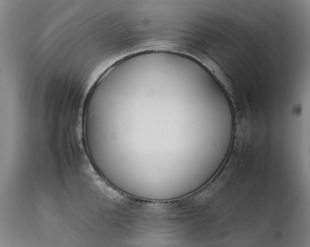 X0000111630904200907311224