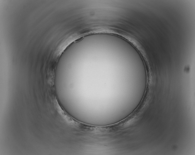 X0000111630905200907311224