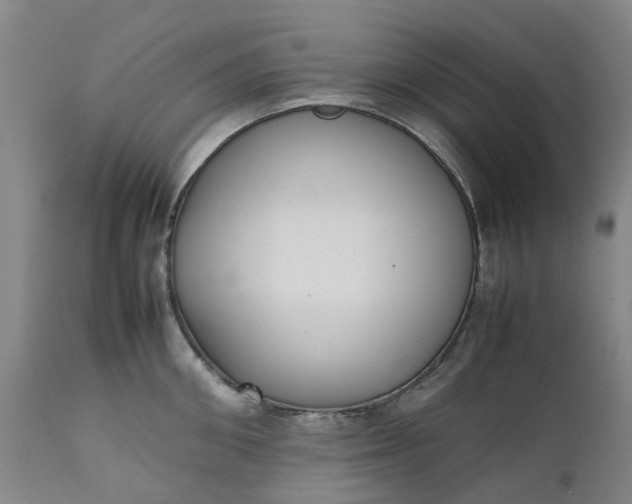 X0000111630906200907311224