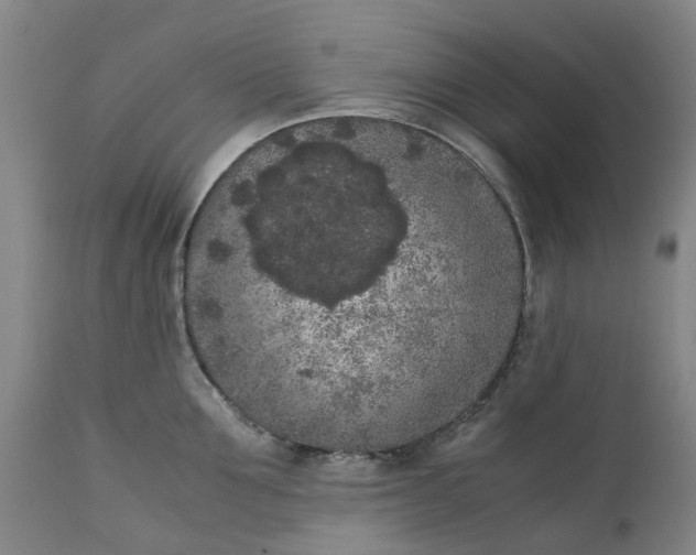 X0000111630907200907311224