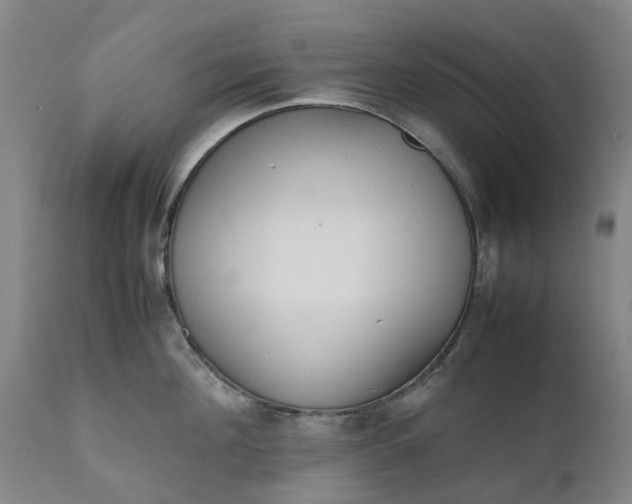 X0000111630908200907311224