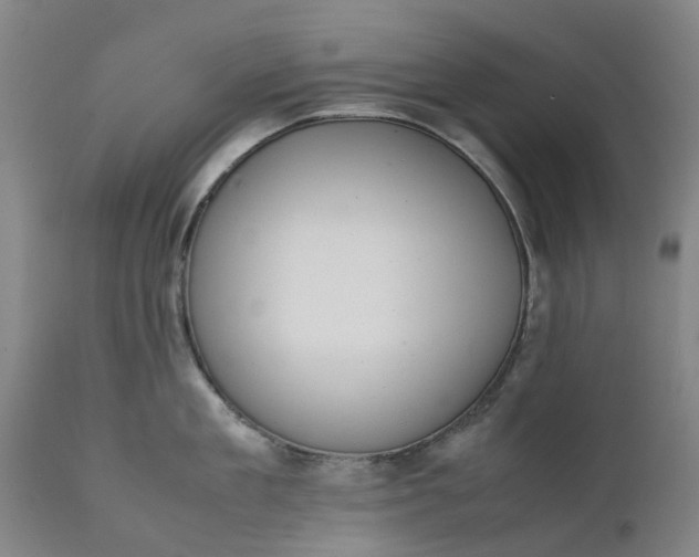 X0000111630909200907311224