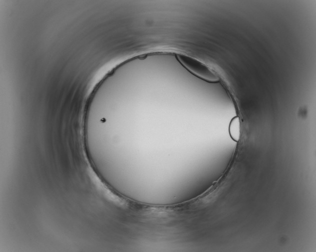 X0000111630910200907311223