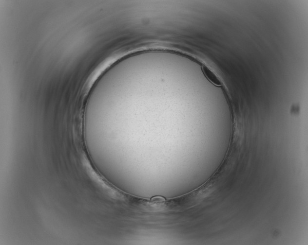 X0000111630911200907311223