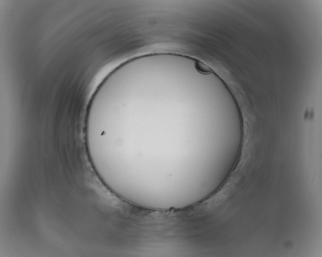 X0000111630912200907311223