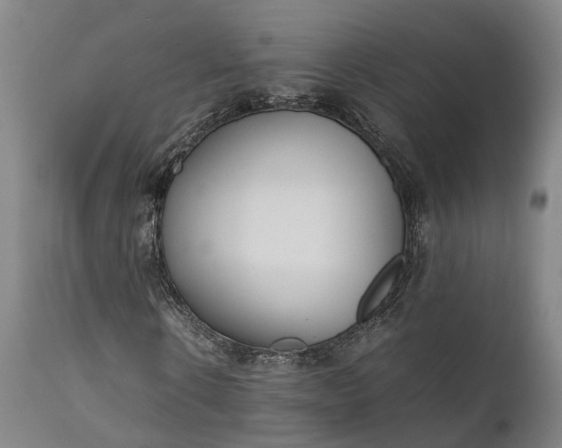 X0000111630914200907311223