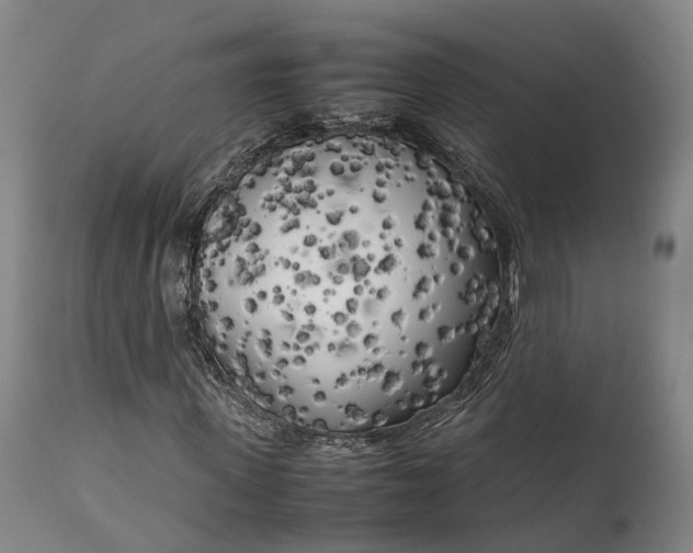 X0000111630915200907311223