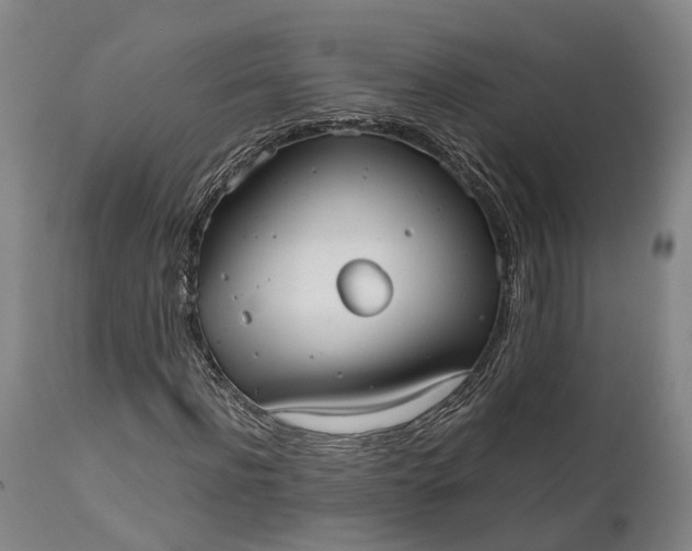 X0000111630916200907311223