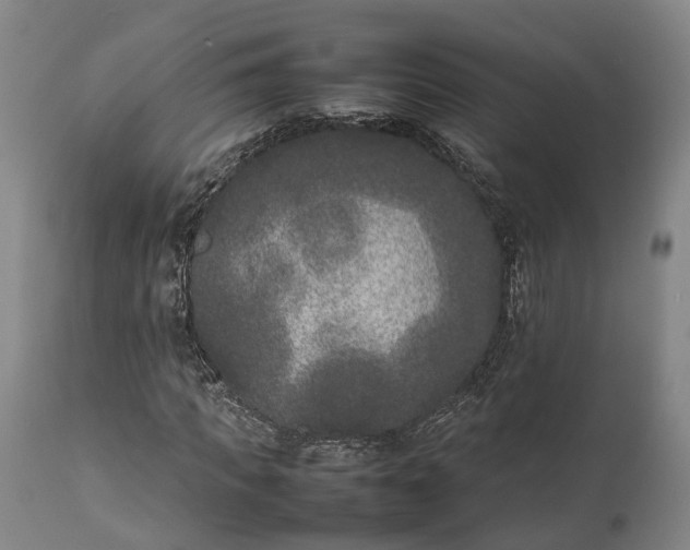 X0000111630917200907311223