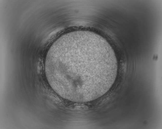 X0000111630918200907311223