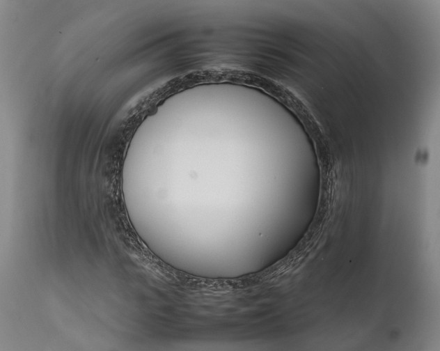 X0000111630919200907311223