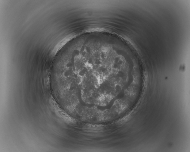 X0000111630921200907311223