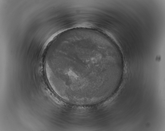 X0000111630923200907311223