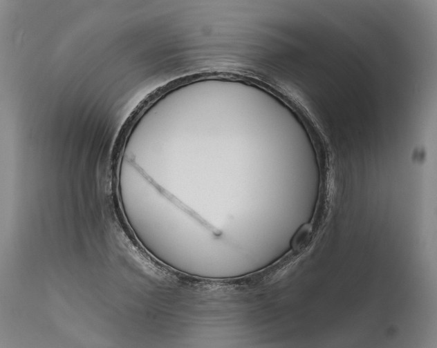 X0000111630924200907311223