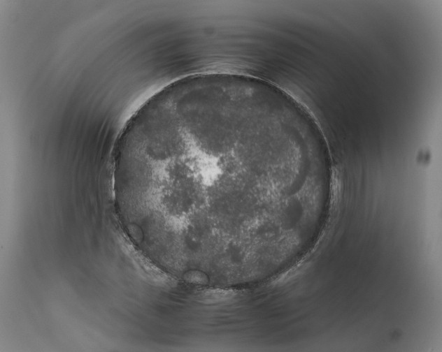 X0000111630925200907311223