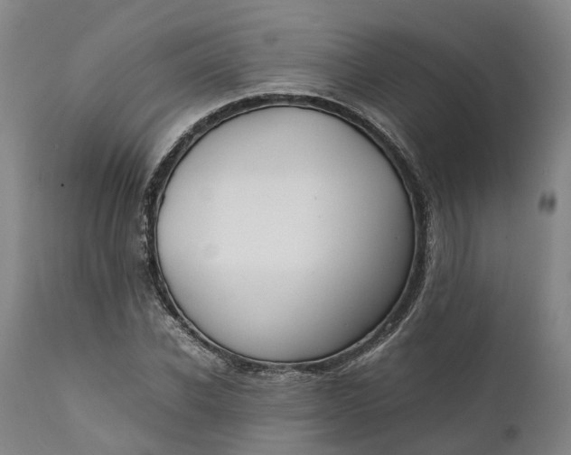 X0000111630926200907311223