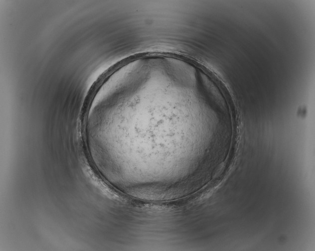 X0000111630928200907311223