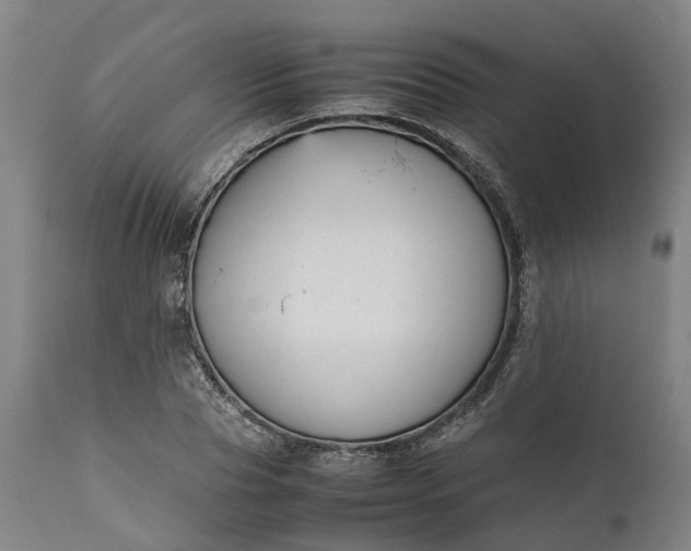 X0000111630929200907311223